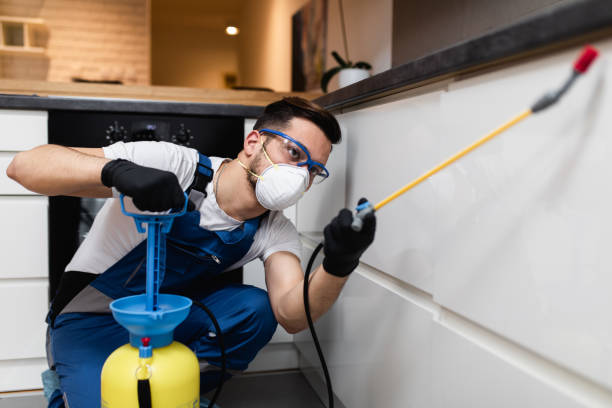 Best Best Pest Control Companies  in Summit Park, UT