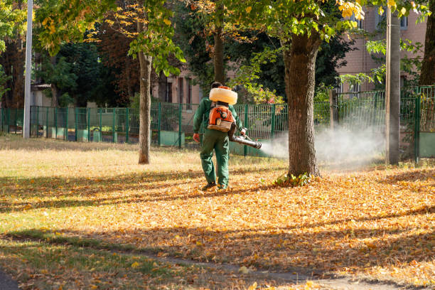 Best Ant Control Services  in Summit Park, UT